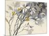 Magnolias Yellow Gray-Shirley Novak-Mounted Art Print