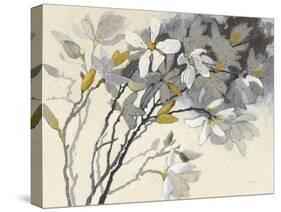 Magnolias Yellow Gray-Shirley Novak-Stretched Canvas