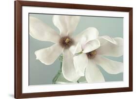 Magnolias-Assaf Frank-Framed Art Print