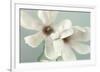 Magnolias-Assaf Frank-Framed Giclee Print