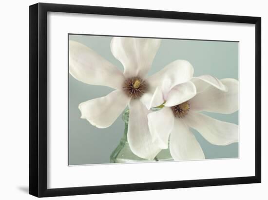 Magnolias-Assaf Frank-Framed Giclee Print