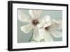 Magnolias-Assaf Frank-Framed Giclee Print