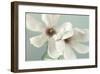 Magnolias-Assaf Frank-Framed Giclee Print