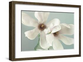 Magnolias-Assaf Frank-Framed Giclee Print