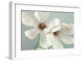 Magnolias-Assaf Frank-Framed Giclee Print