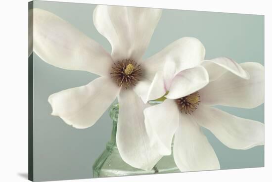 Magnolias-Assaf Frank-Stretched Canvas