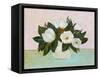 Magnolias-null-Framed Stretched Canvas