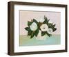 Magnolias-null-Framed Art Print