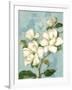 Magnolias-Pamela Gladding-Framed Art Print