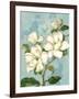 Magnolias-Pamela Gladding-Framed Art Print