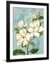 Magnolias-Pamela Gladding-Framed Art Print