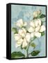 Magnolias-Pamela Gladding-Framed Stretched Canvas