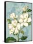 Magnolias-Pamela Gladding-Framed Stretched Canvas