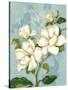 Magnolias-Pamela Gladding-Stretched Canvas