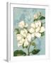 Magnolias-Pamela Gladding-Framed Art Print