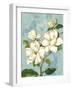 Magnolias-Pamela Gladding-Framed Art Print