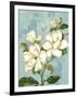 Magnolias-Pamela Gladding-Framed Art Print