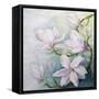Magnolias-Karen Armitage-Framed Stretched Canvas