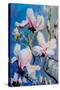 Magnolias-Mary Smith-Stretched Canvas