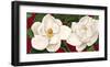 Magnolie in Fiore-Luca Villa-Framed Art Print