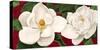 Magnolie in Fiore-Luca Villa-Stretched Canvas