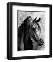 Magnum Force (b/w)-Barry Hart-Framed Giclee Print