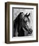 Magnum Force (b/w)-Barry Hart-Framed Giclee Print