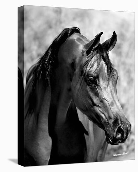 Magnum Force (b/w)-Barry Hart-Stretched Canvas