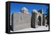 Magok-I Attari Mosque-null-Framed Stretched Canvas