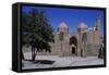 Magok-I Attari Mosque-null-Framed Stretched Canvas