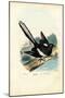 Magpie, 1863-79-Raimundo Petraroja-Mounted Giclee Print