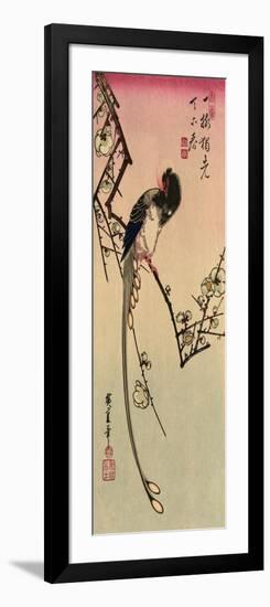 Magpie, 19th Century-Ando Hiroshige-Framed Giclee Print