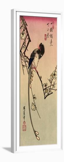 Magpie, 19th Century-Ando Hiroshige-Framed Giclee Print