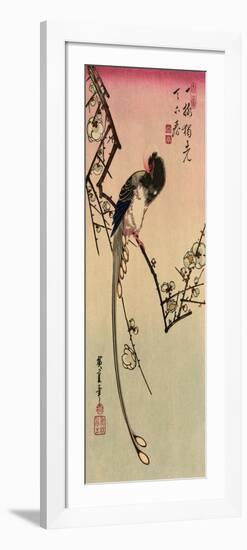 Magpie, 19th Century-Ando Hiroshige-Framed Giclee Print