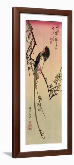 Magpie, 19th Century-Ando Hiroshige-Framed Giclee Print