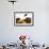 Magpie and Buffalo , Hluhluwe-Imfolozi Park, Kwazulu-Natal, South Africa, Africa-Christian Kober-Framed Photographic Print displayed on a wall
