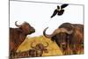 Magpie and Buffalo , Hluhluwe-Imfolozi Park, Kwazulu-Natal, South Africa, Africa-Christian Kober-Mounted Photographic Print