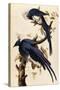 Magpie Jay, 1829-John James Audubon-Stretched Canvas