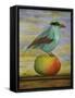 Magpie On A Mango-Leah Saulnier-Framed Stretched Canvas