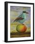 Magpie On A Mango-Leah Saulnier-Framed Giclee Print