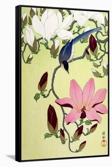 Magpie with Pink and White Magnolia Blossoms-Koson Ohara-Framed Stretched Canvas