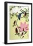 Magpie with Pink and White Magnolia Blossoms-Koson Ohara-Framed Giclee Print