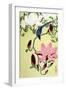 Magpie with Pink and White Magnolia Blossoms-Koson Ohara-Framed Giclee Print