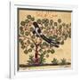 Magpie-Aristotle ibn Bakhtishu-Framed Giclee Print