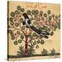Magpie-Aristotle ibn Bakhtishu-Stretched Canvas