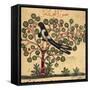 Magpie-Aristotle ibn Bakhtishu-Framed Stretched Canvas