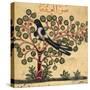 Magpie-Aristotle ibn Bakhtishu-Stretched Canvas