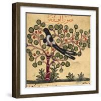 Magpie-Aristotle ibn Bakhtishu-Framed Giclee Print