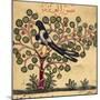 Magpie-Aristotle ibn Bakhtishu-Mounted Giclee Print