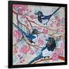 Magpies And Pink Blossoms-null-Framed Premium Giclee Print